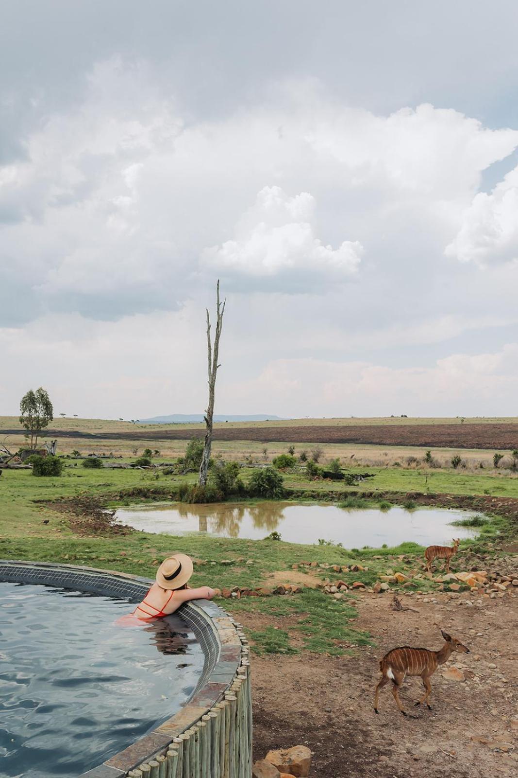 Nambiti Plains Lodge Ladysmith Exteriör bild