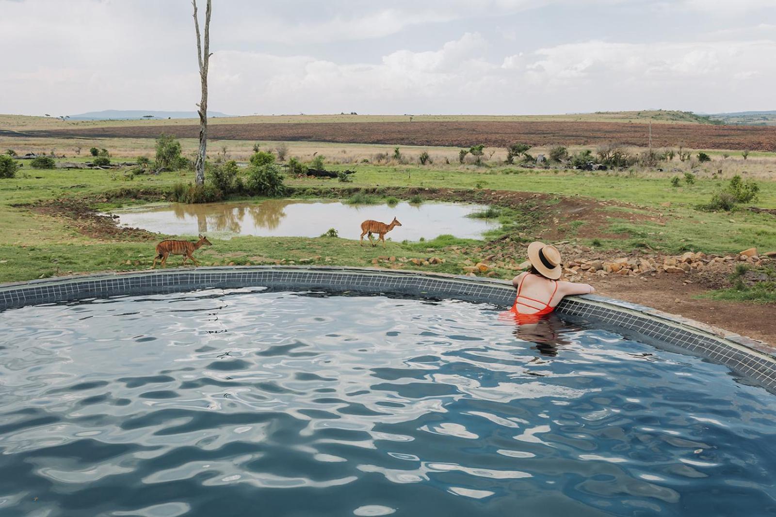 Nambiti Plains Lodge Ladysmith Exteriör bild