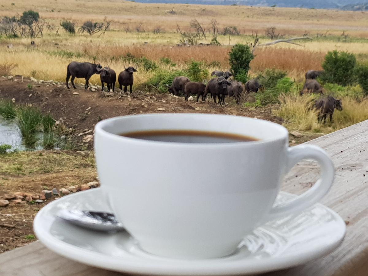 Nambiti Plains Lodge Ladysmith Exteriör bild