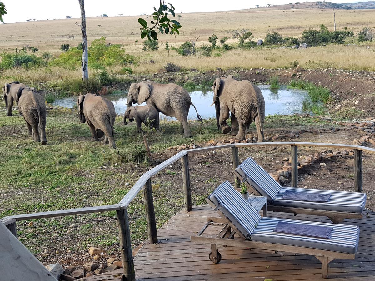 Nambiti Plains Lodge Ladysmith Exteriör bild