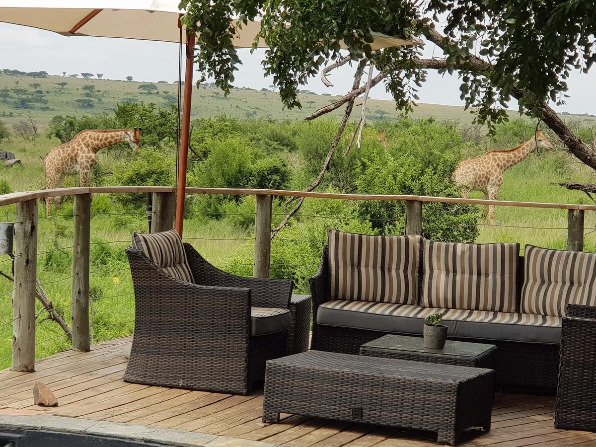Nambiti Plains Lodge Ladysmith Exteriör bild