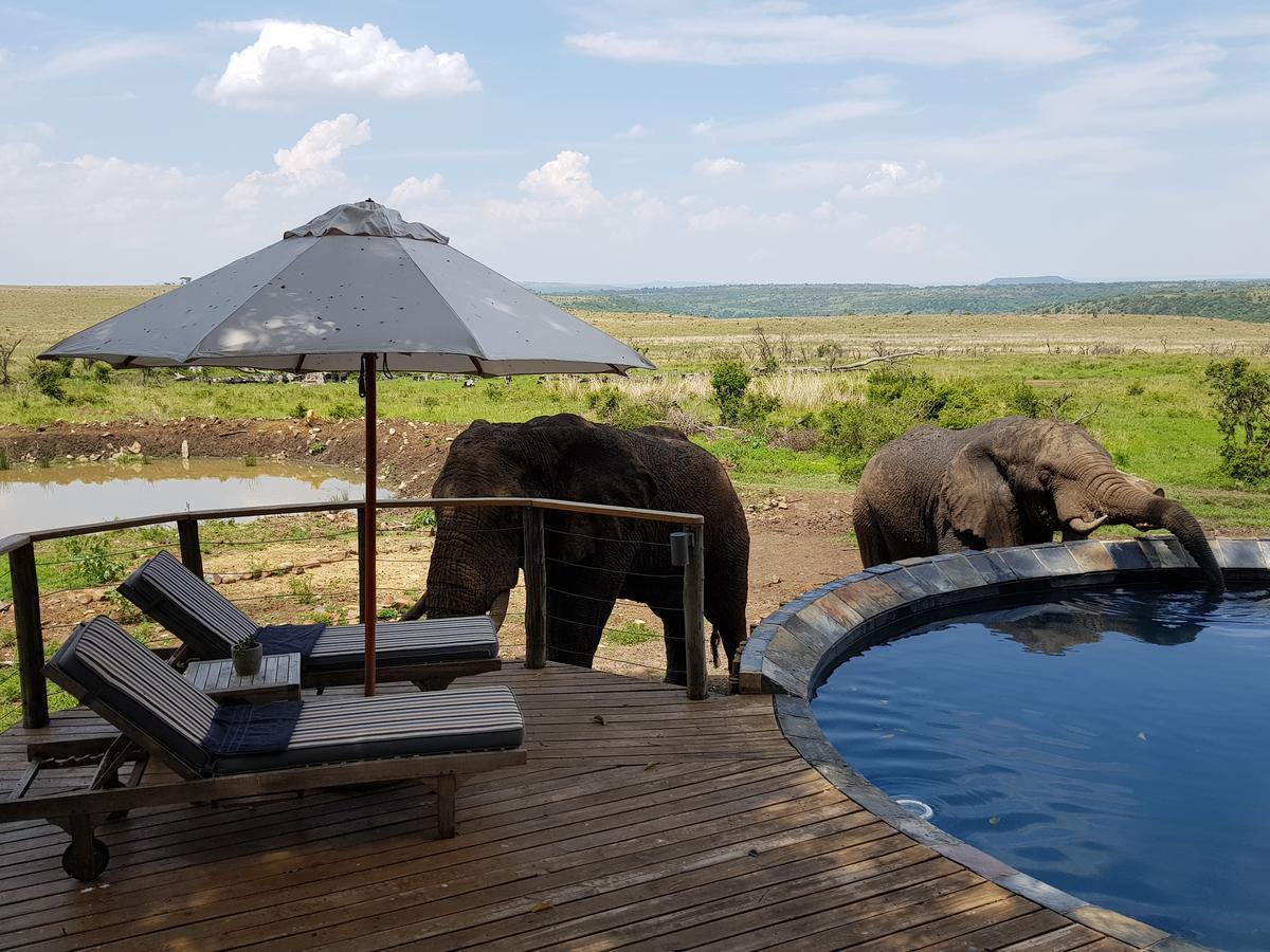 Nambiti Plains Lodge Ladysmith Exteriör bild
